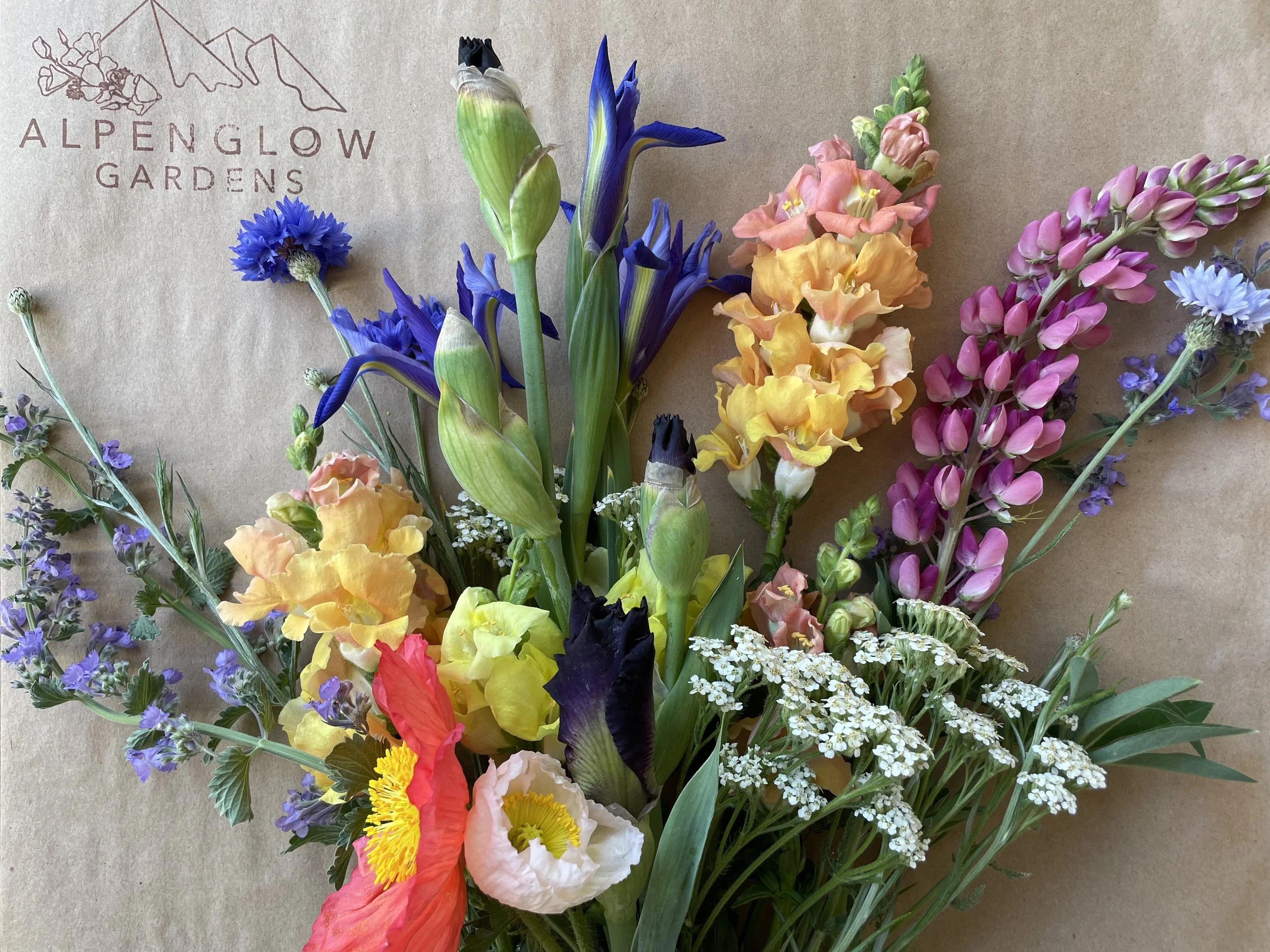 Flower CSA – Bishop & Mammoth Lakes | Weekly Local Bouquets